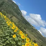 Appartamento Monacella