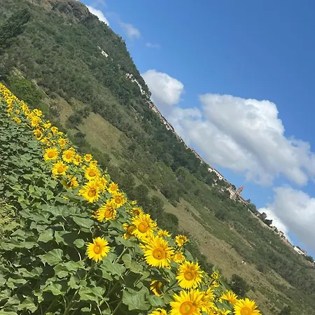 Διαμέρισμα Monacella