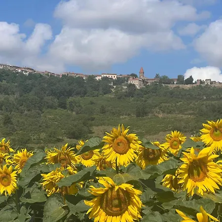 Monacella Apartmán *